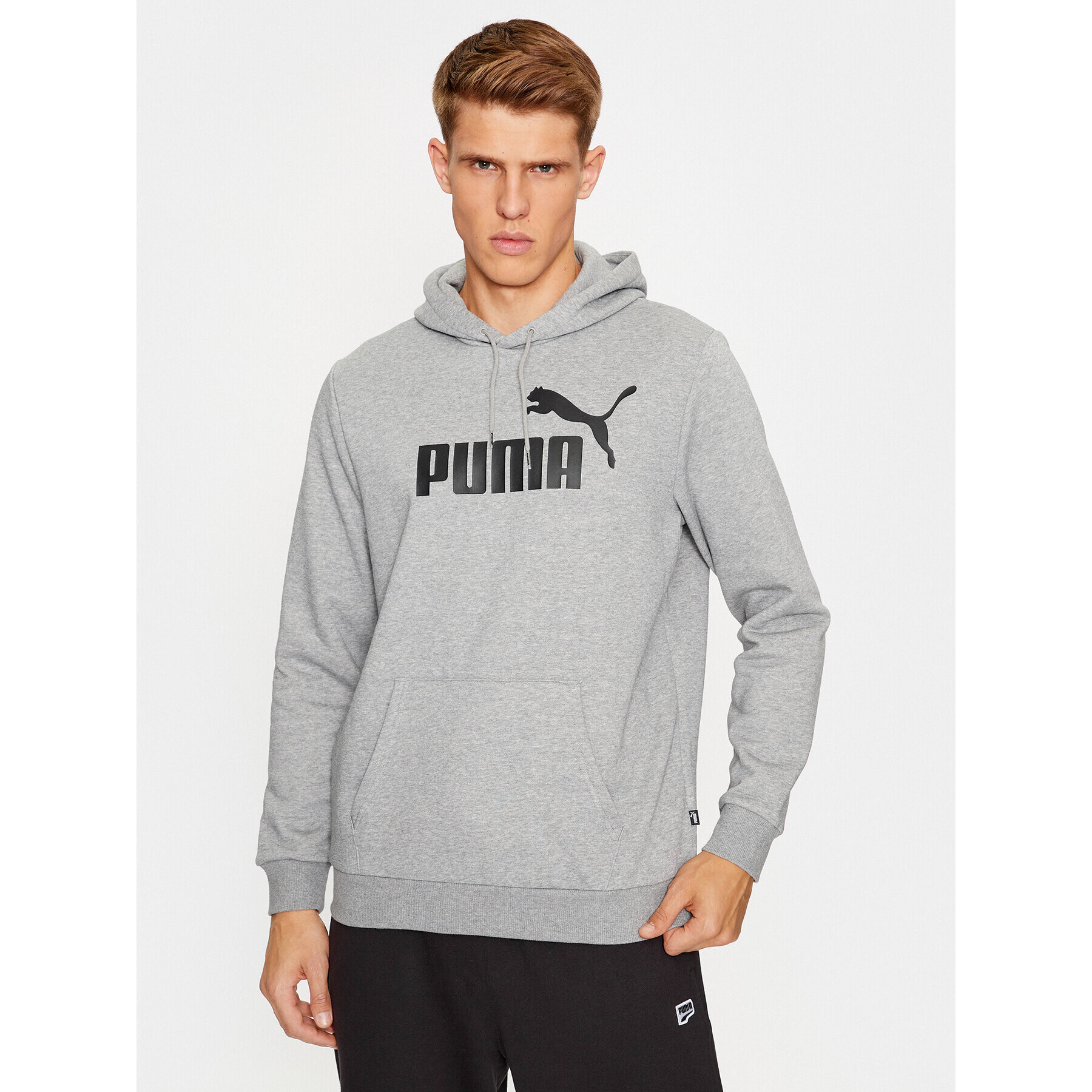 Puma Bluză Ess Big Logo 586686 Gri Regular Fit - Pled.ro