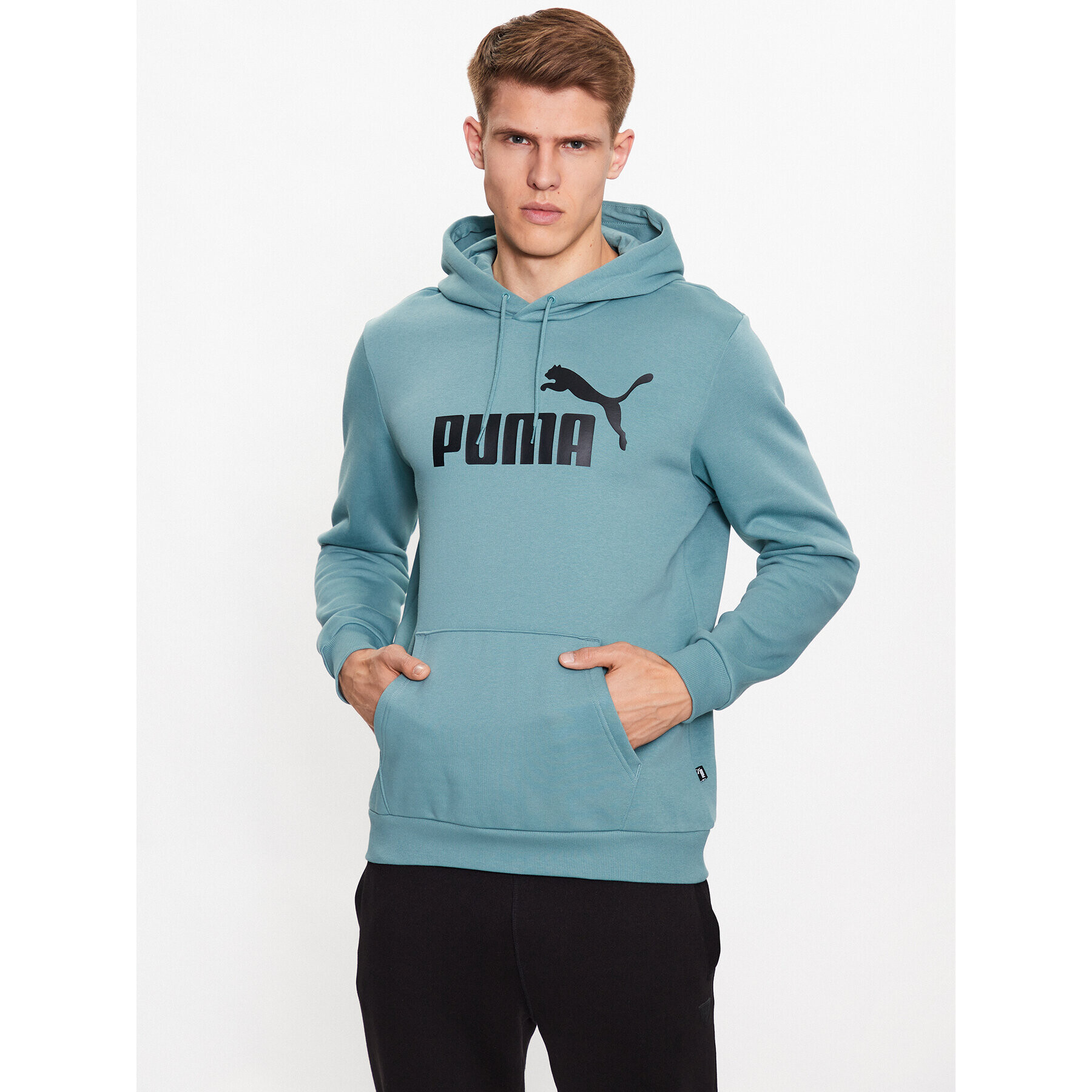 Puma Bluză Essentials Big Logo 586687 Verde Regular Fit - Pled.ro