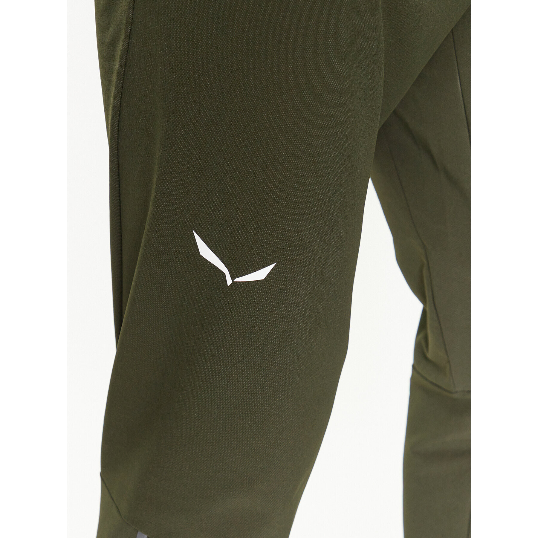 Salewa Pantaloni outdoor Pedroc Dst Reg Pant 00-0000028702 Verde Regular Fit - Pled.ro