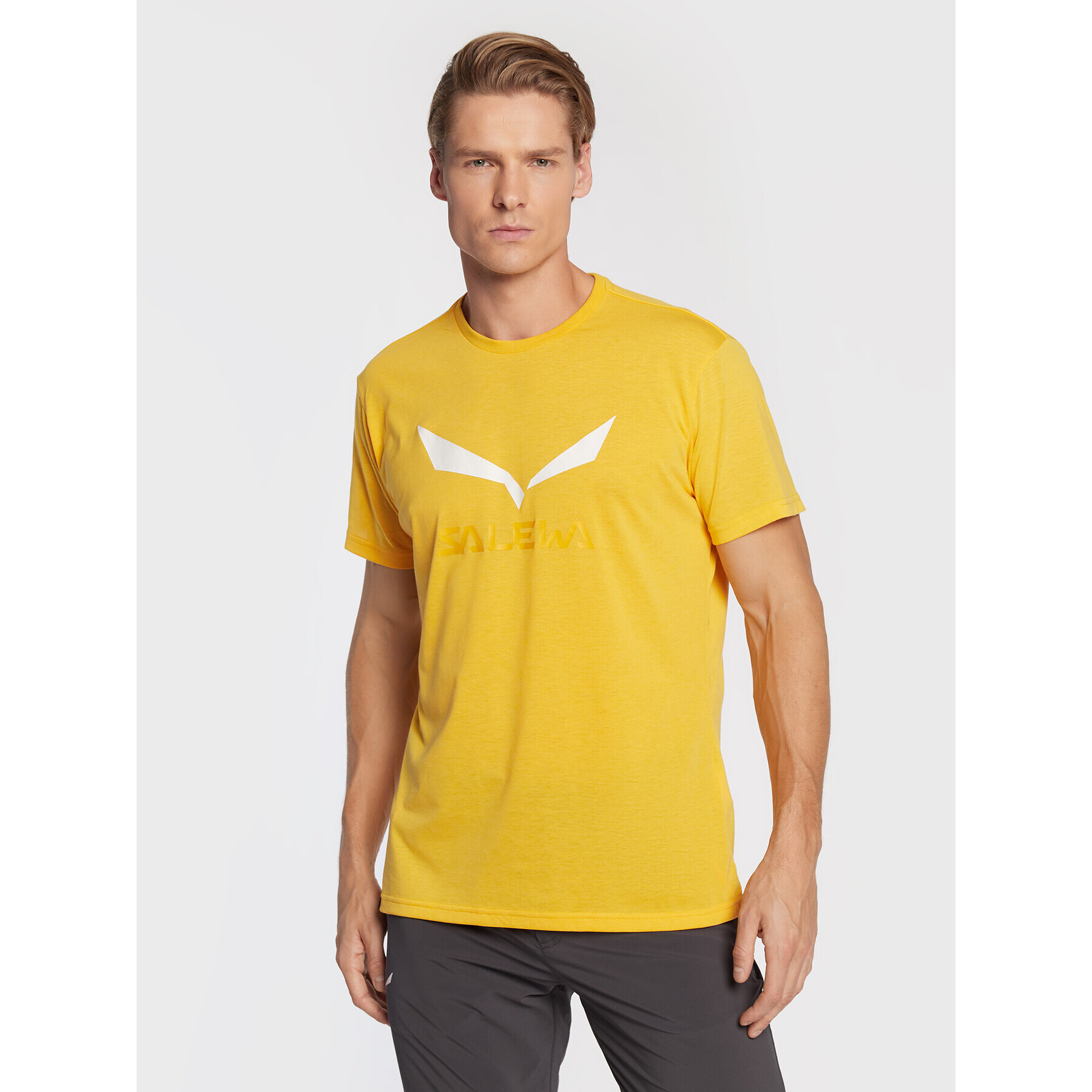 Salewa Tricou Solidlogo Dry 27018 Galben Regular Fit - Pled.ro