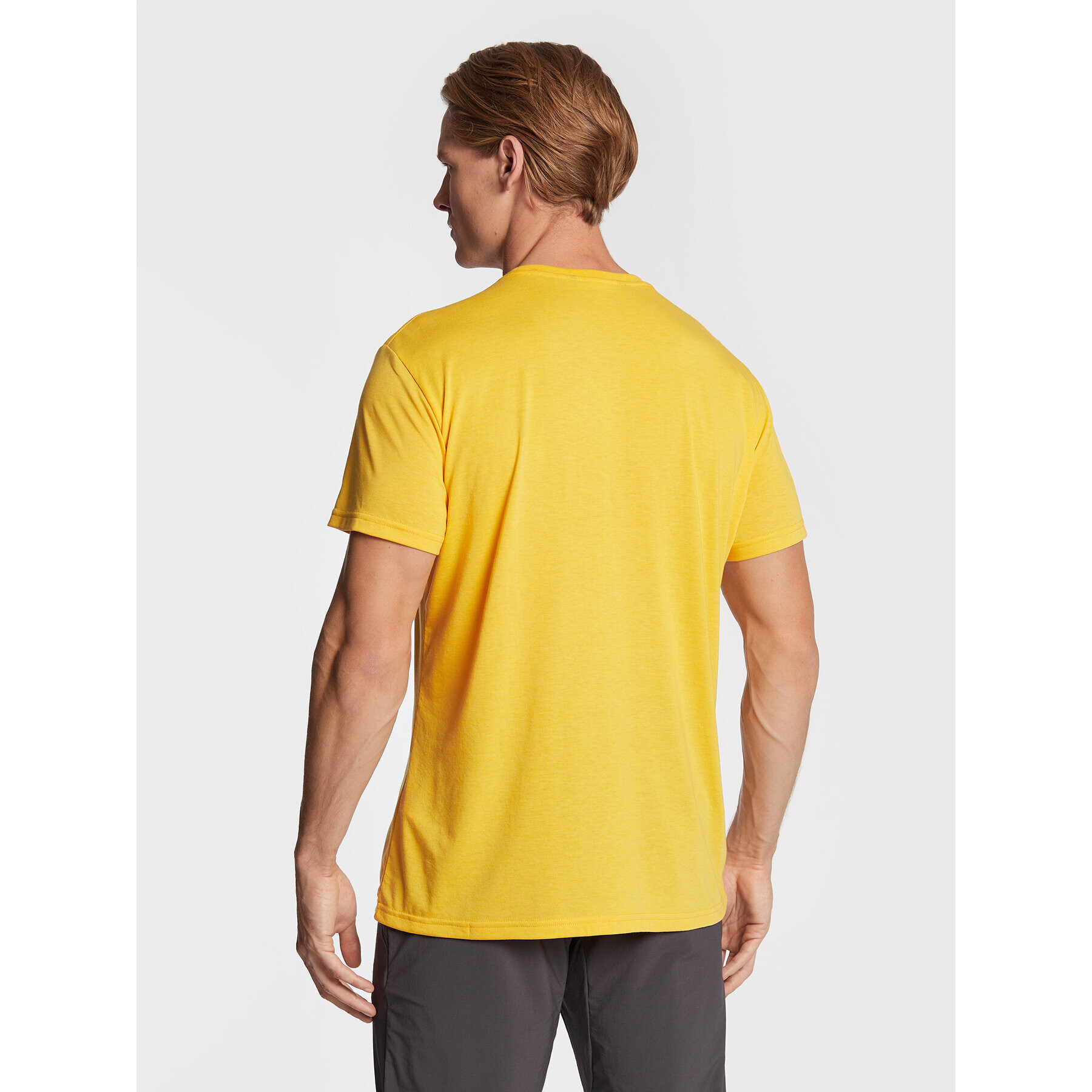 Salewa Tricou Solidlogo Dry 27018 Galben Regular Fit - Pled.ro