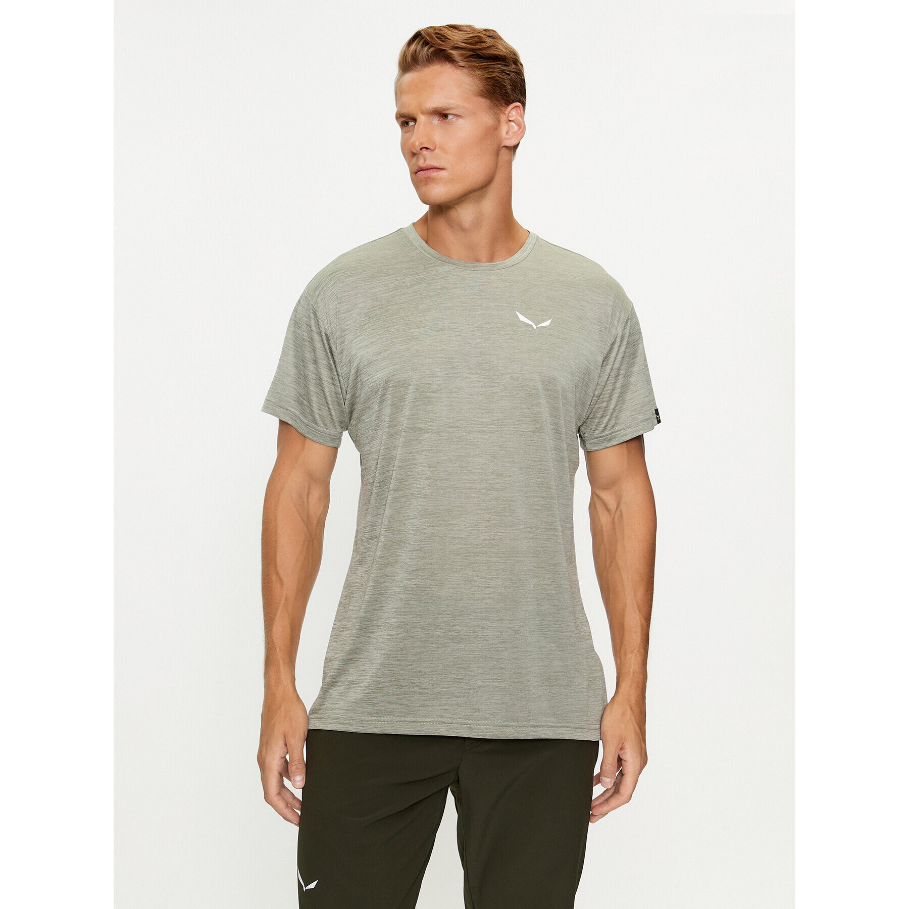 Salewa Tricou tehnic 026537 Verde Regular Fit - Pled.ro