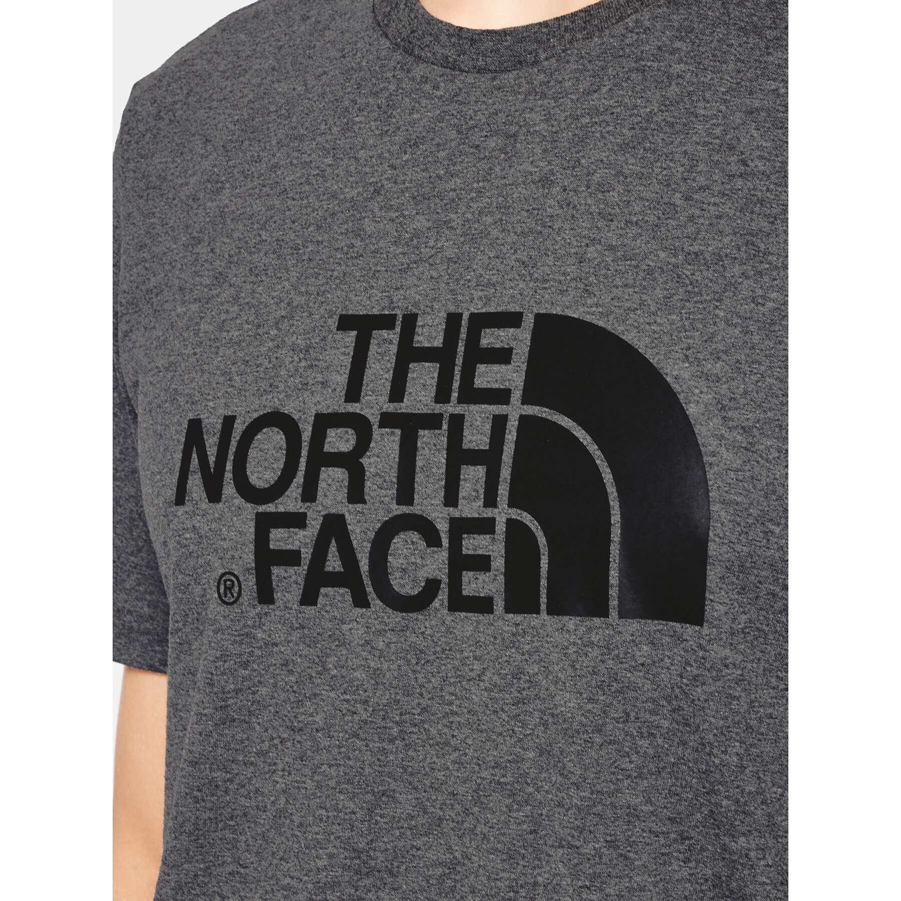 The North Face Tricou NF0A2TX3 Gri Regular Fit - Pled.ro