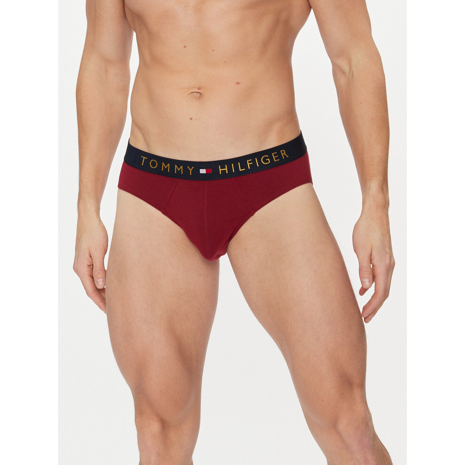 Tommy Hilfiger Set 5 perechi chiloți bărbați UM0UM03037 Colorat - Pled.ro