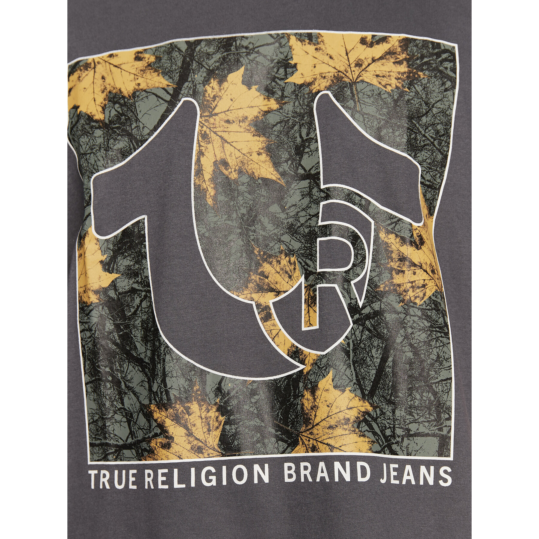 True Religion Tricou 106299 Gri Regular Fit - Pled.ro