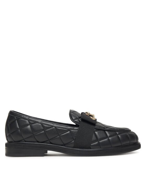 Aldo Loafers Bissamo 14115088