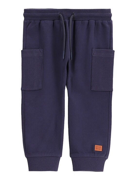 Coccodrillo Pantaloni trening WC5120101SBN Regular Fit