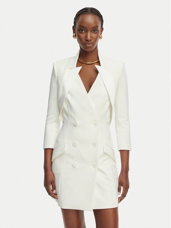 Elisabetta Franchi Rochie cocktail AB-925-61E2-V450 Regular Fit