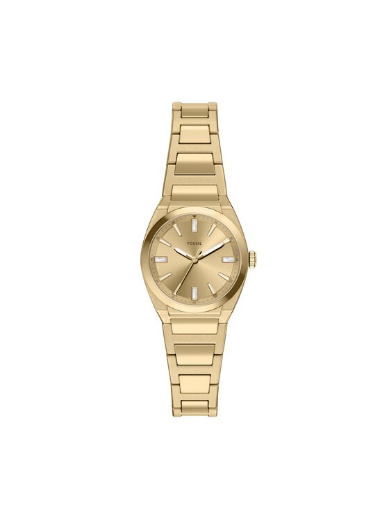 Fossil Ceas Everett Small ES5492