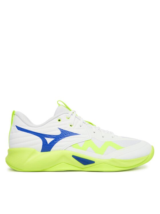 Mizuno Încălțăminte pentru sporturi de interior Wave Momentum Pro V1GA2540 39