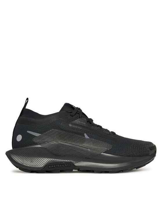 Nike Pantofi pentru alergare W Pegasus Trail 5 Gtx FQ0912 002
