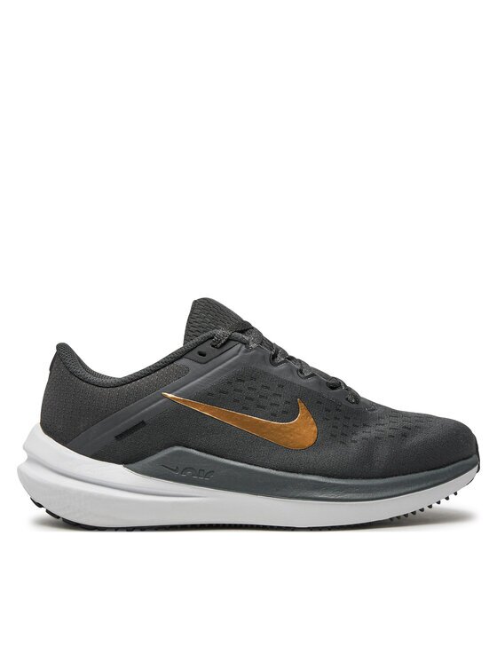 Nike Pantofi pentru alergare Winflo 10 DV4023 005