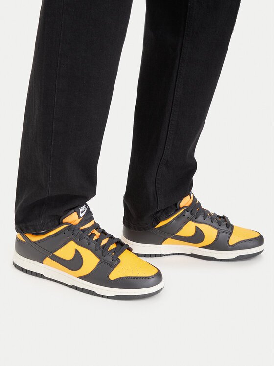 Nike Sneakers Dunk Low Retro HF5441 700