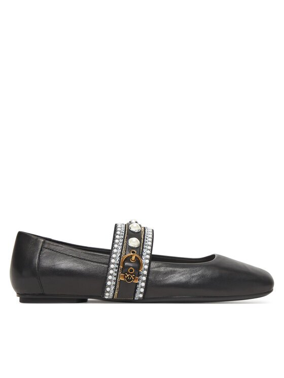 Pinko Balerini Max 04 SD0381P003