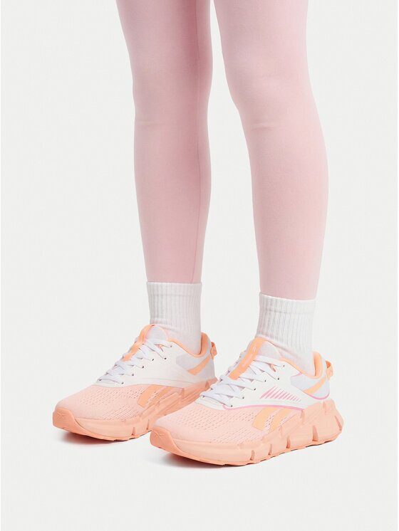 Reebok Pantofi pentru alergare EO-ZIG DYNAMICA 6 100246200