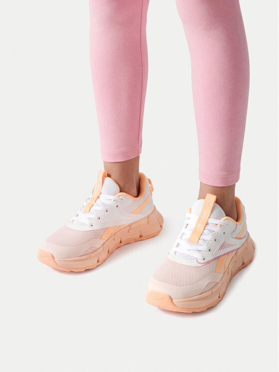 Reebok Pantofi pentru alergare EO-ZIG DYNAMICA 6 100246201