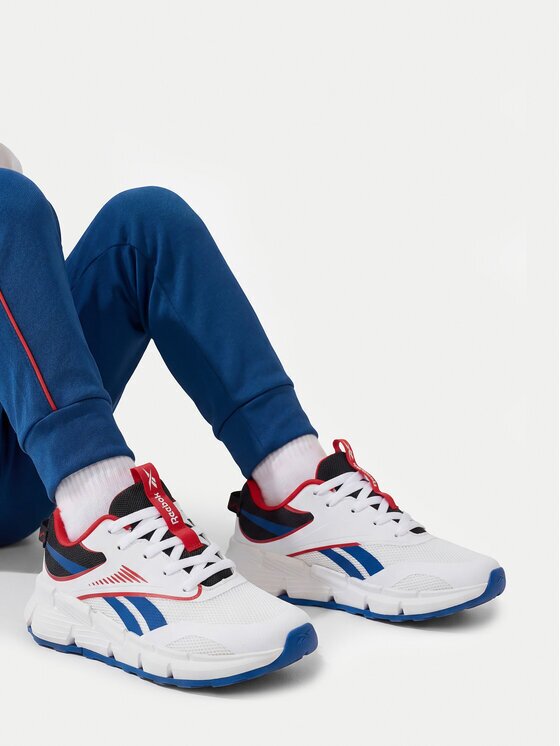 Reebok Pantofi pentru alergare EO-ZIG DYNAMICA 6 100247310