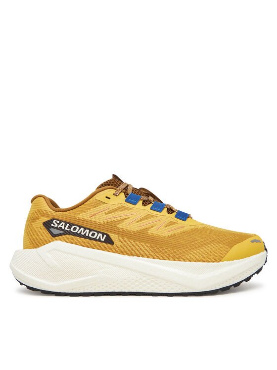 Salomon Pantofi pentru alergare Aero Blaze 3 Grvl L47974200
