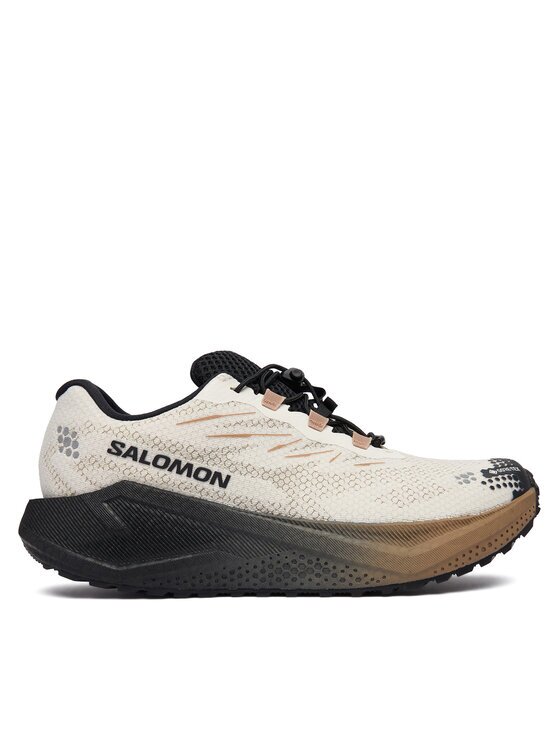 Salomon Pantofi pentru alergare Aero Blaze 4 gtx GORE-TEX L45403200