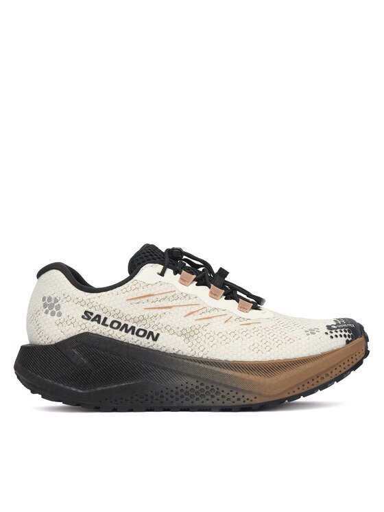 Salomon Pantofi pentru alergare Aero Blaze 4 gtx GORE-TEX L45403900