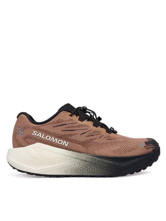 Salomon Pantofi pentru alergare Aero Blaze 4 L45400500