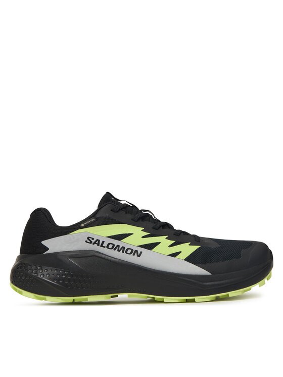 Salomon Pantofi pentru alergare Alphaglide GORE-TEX L47802000