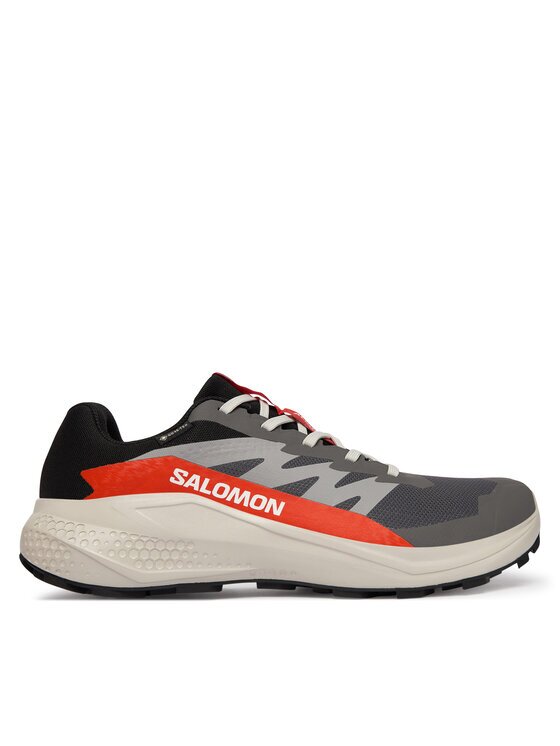 Salomon Pantofi pentru alergare Alphaglide Gore-Tex L47975300