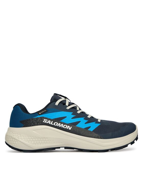 Salomon Pantofi pentru alergare Alphaglide Gtx L47975100