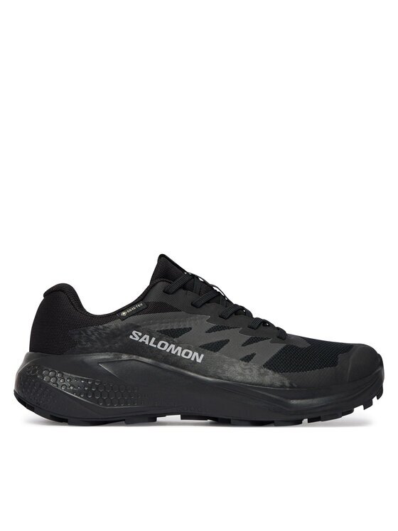 Salomon Pantofi pentru alergare Alphaglide Gtx W L49214400