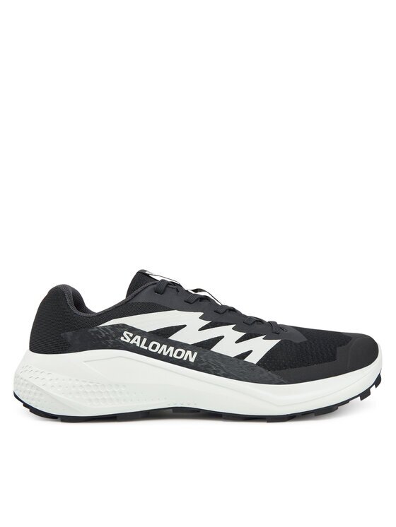 Salomon Pantofi pentru alergare Alphaglide L47801000