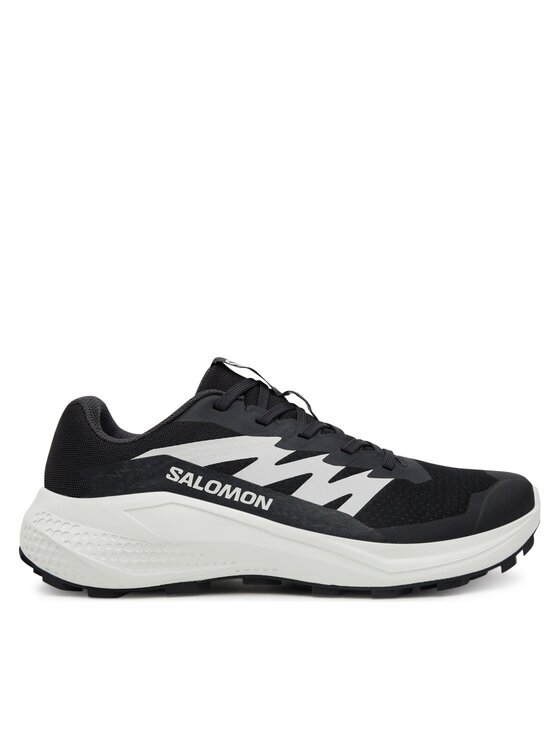 Salomon Pantofi pentru alergare Alphaglide L47801500