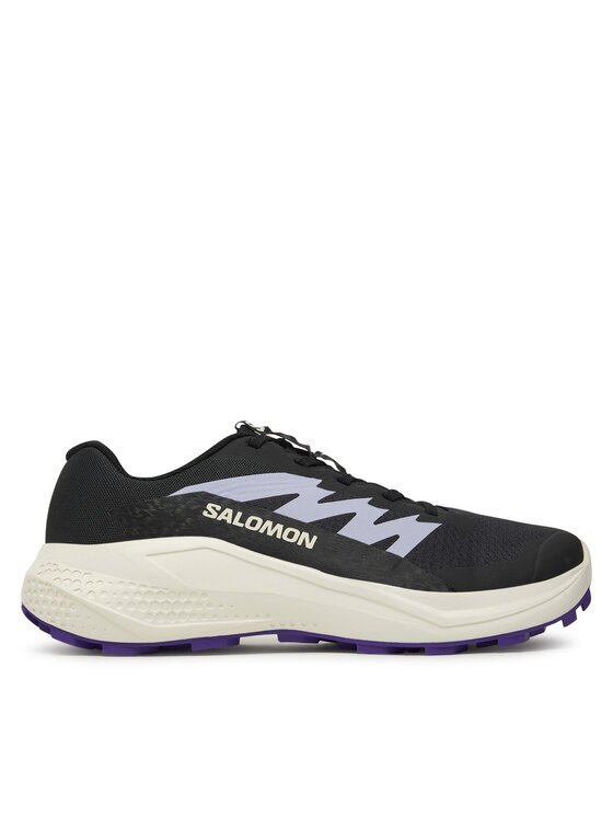 Salomon Pantofi pentru alergare Alphaglide L47801800