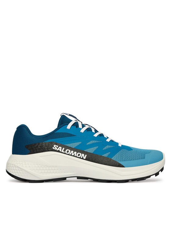 Salomon Pantofi pentru alergare Alphaglide L48000400
