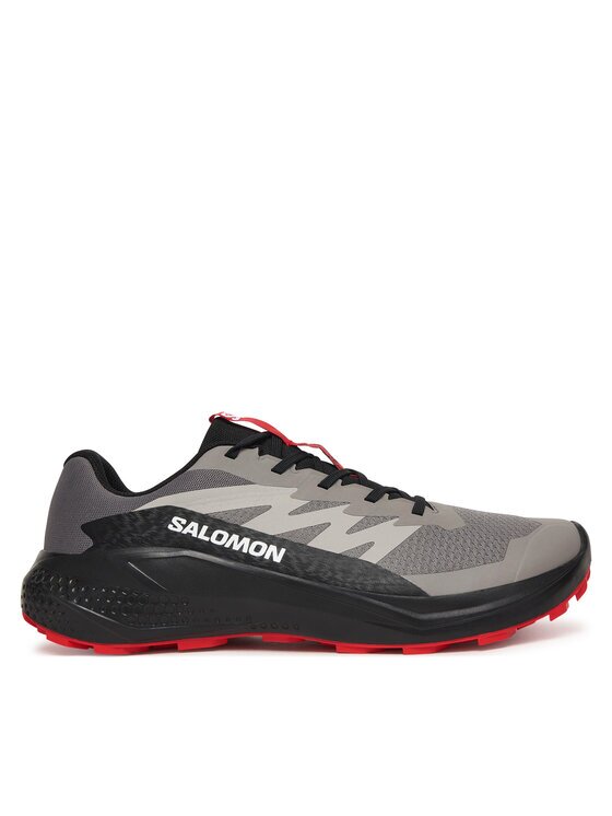 Salomon Pantofi pentru alergare Alphaglide L48000800