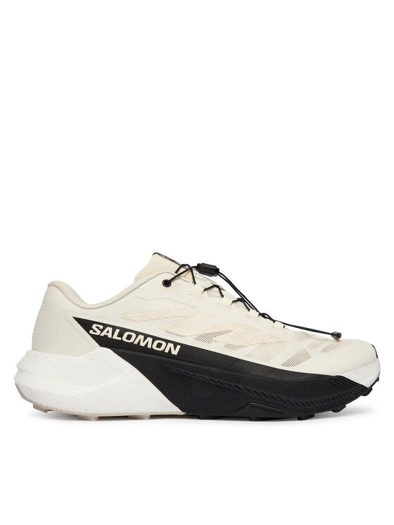 Salomon Pantofi pentru alergare Pulsar L47999900