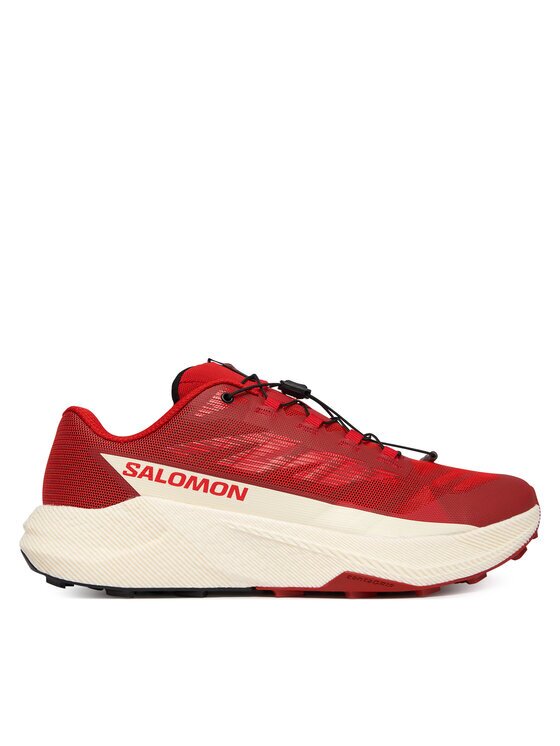 Salomon Pantofi pentru alergare Pulsar L49230100