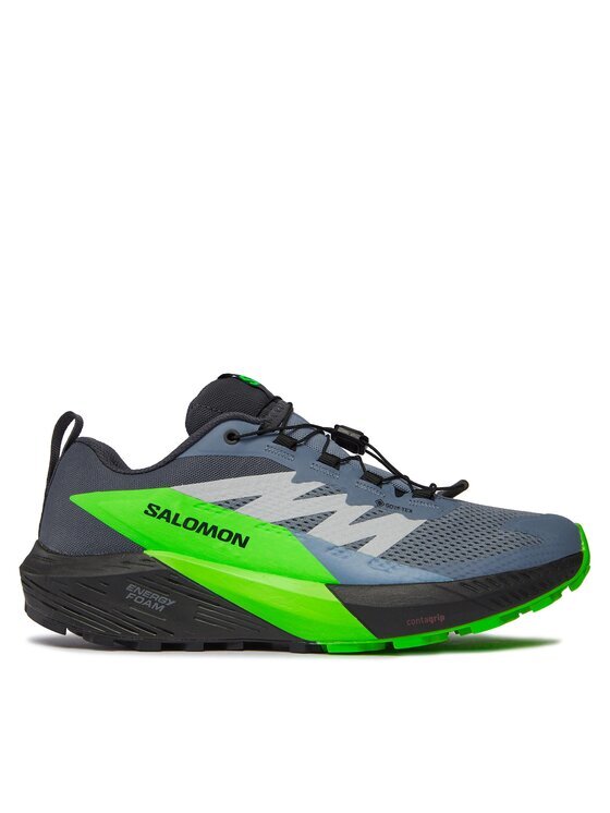 Salomon Pantofi pentru alergare Sense Ride 5 GORE-TEX L47312800