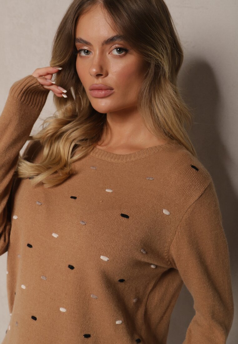 glo-story Pulover Elegant Bej închis cu Decorațiuni Brodate Delicate în față Reriala