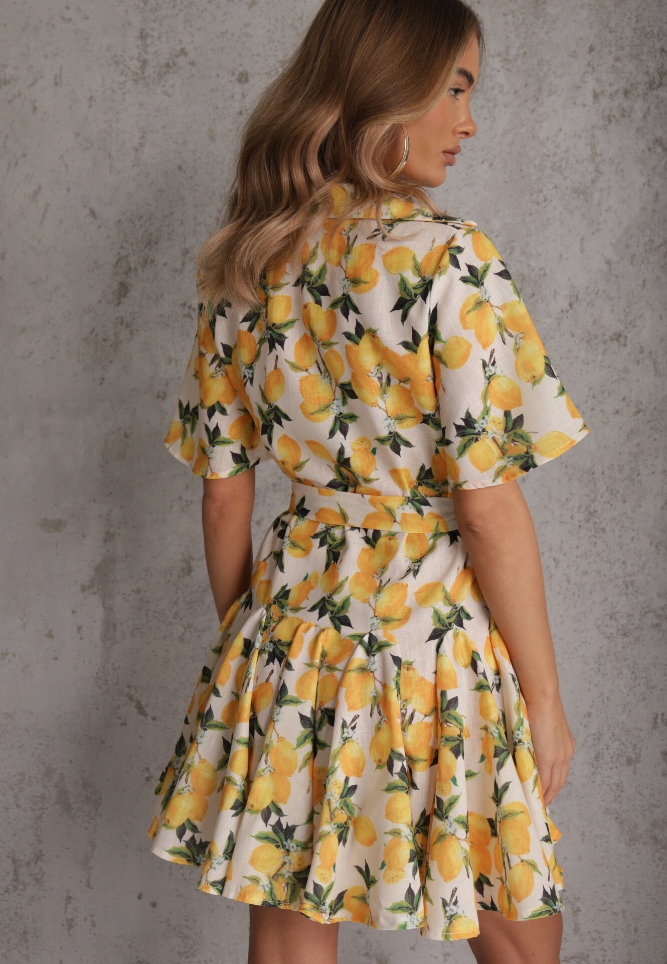 retro & icone Rochie tip cămașă Bej Evazată cu cordon legat și mânecă scurtă Lavialane